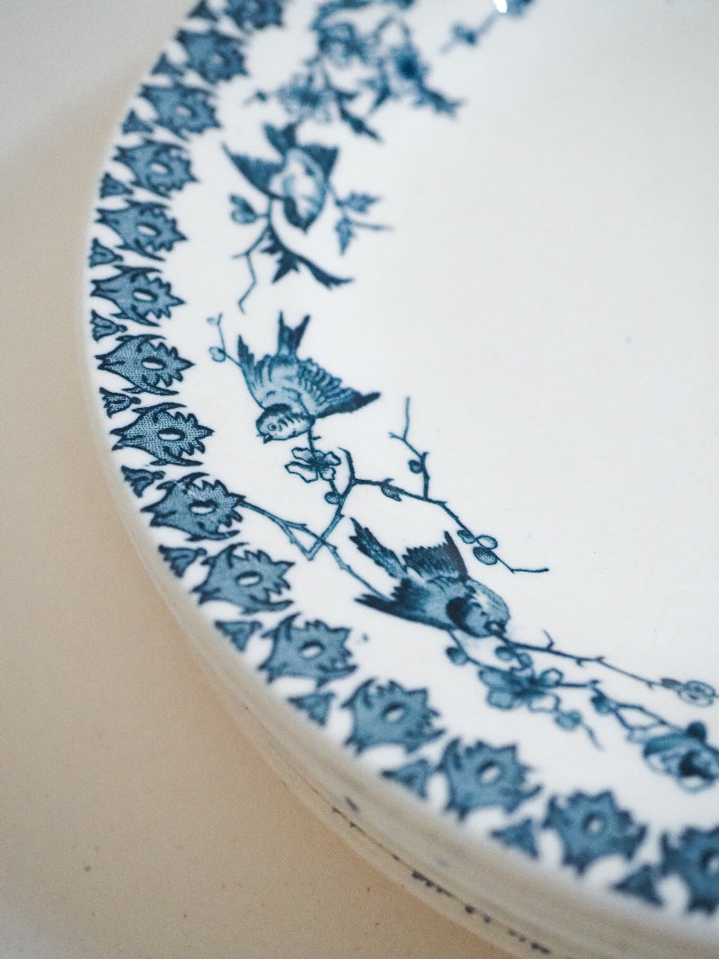 6 assiettes plates - terre de fer décor d'oiseaux