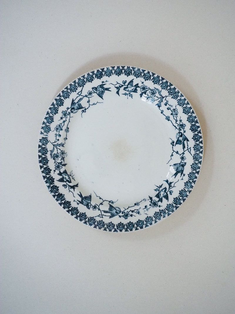 6 assiettes plates - terre de fer décor d'oiseaux