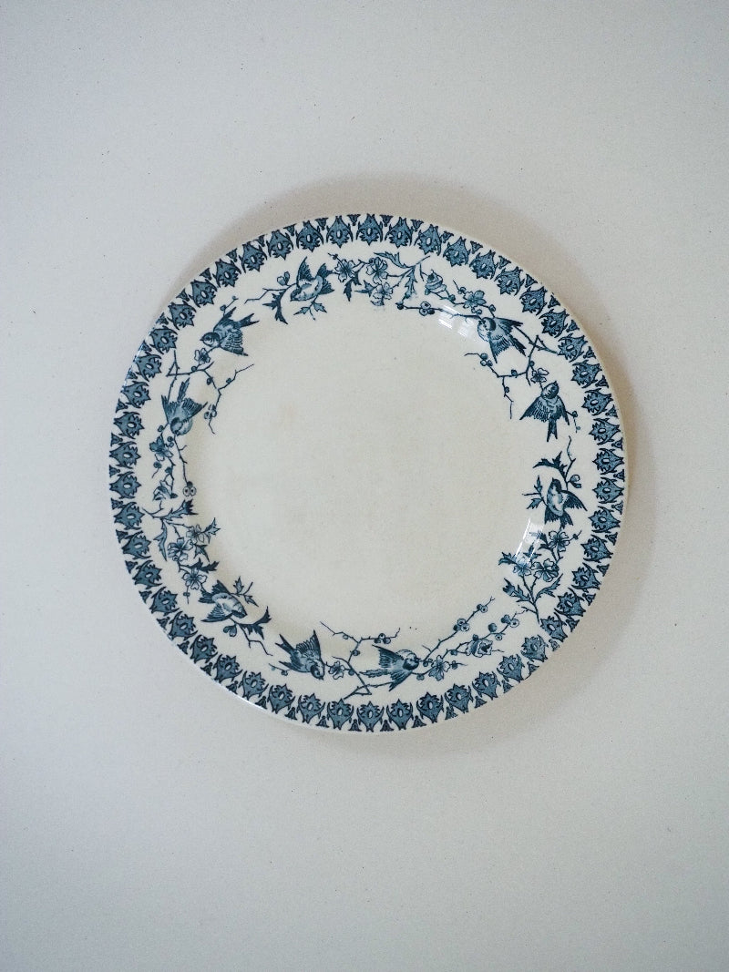 6 assiettes plates - terre de fer décor d'oiseaux