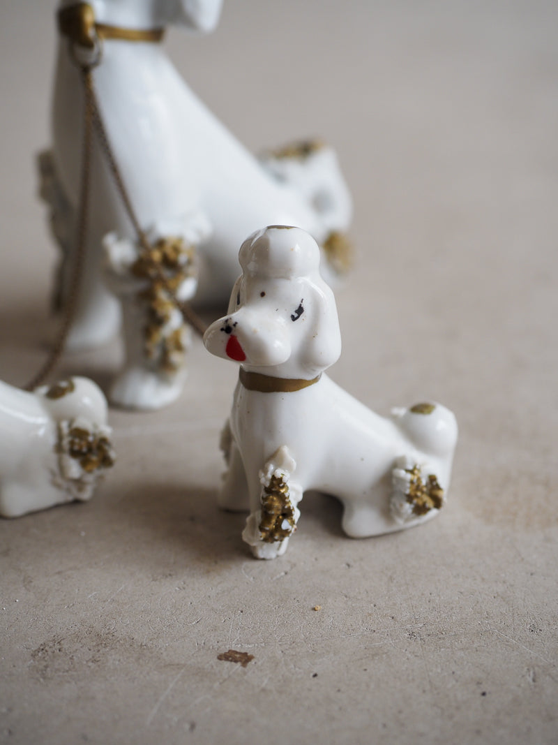 Caniche spaghetti et chiots en porcelaine