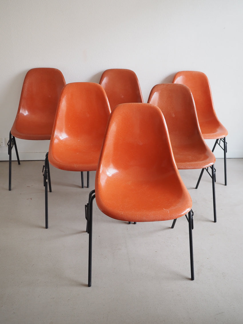 6 chaises de bureau