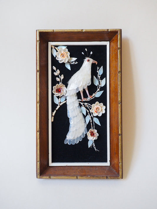 Tableau vintage nacres et coquillages - paon blanc - cabinet de curiosité