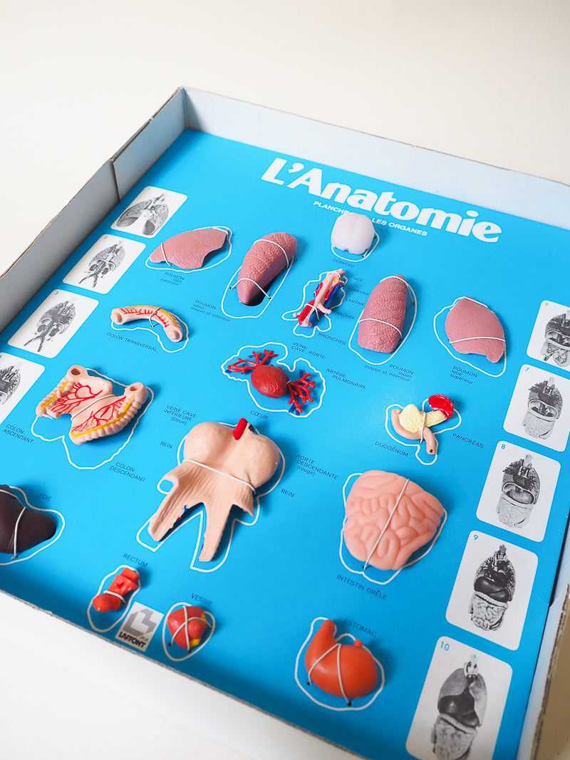 🧠 Jeu éducatif vintage – L’Anatomie – Jeux Laffont – Science & Découverte