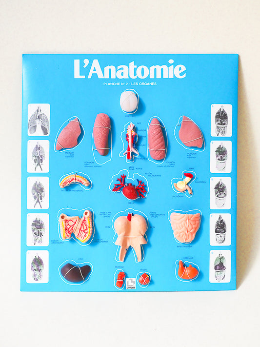 🧠 Jeu éducatif vintage – L’Anatomie – Jeux Laffont – Science & Découverte