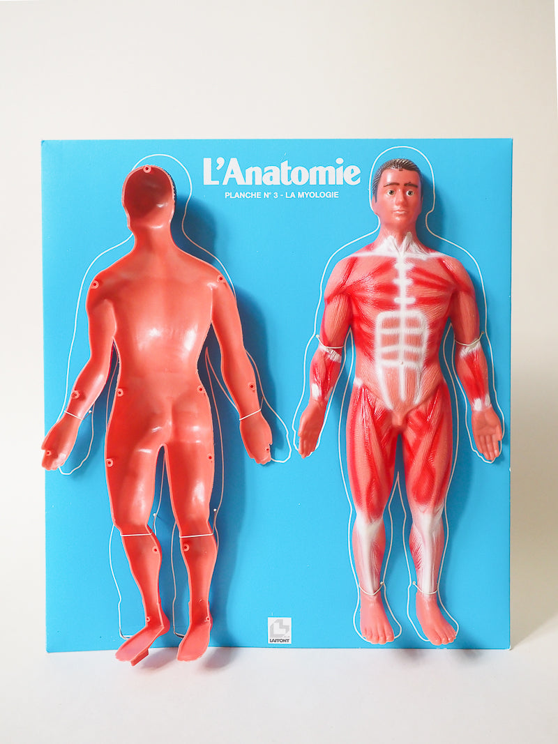 🧠 Jeu éducatif vintage – L’Anatomie – Jeux Laffont – Science & Découverte