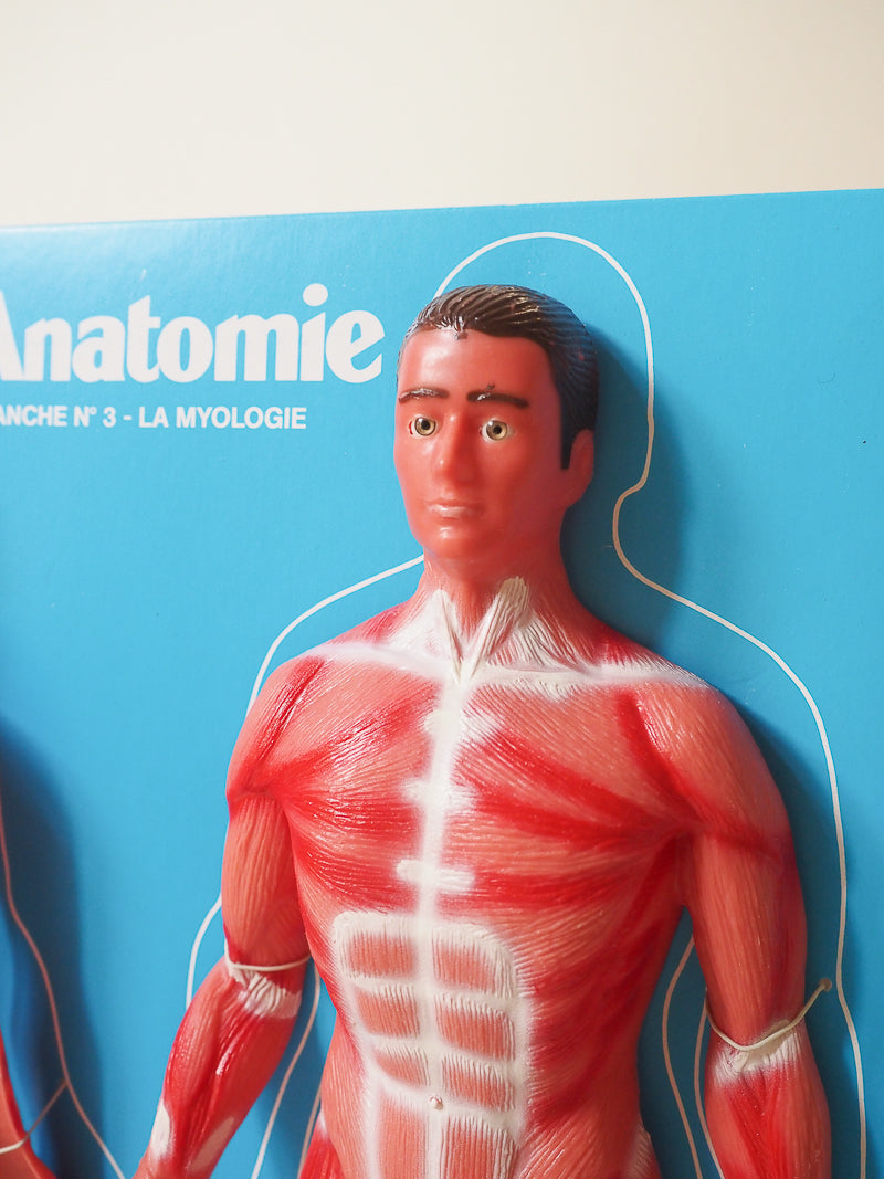 🧠 Jeu éducatif vintage – L’Anatomie – Jeux Laffont – Science & Découverte