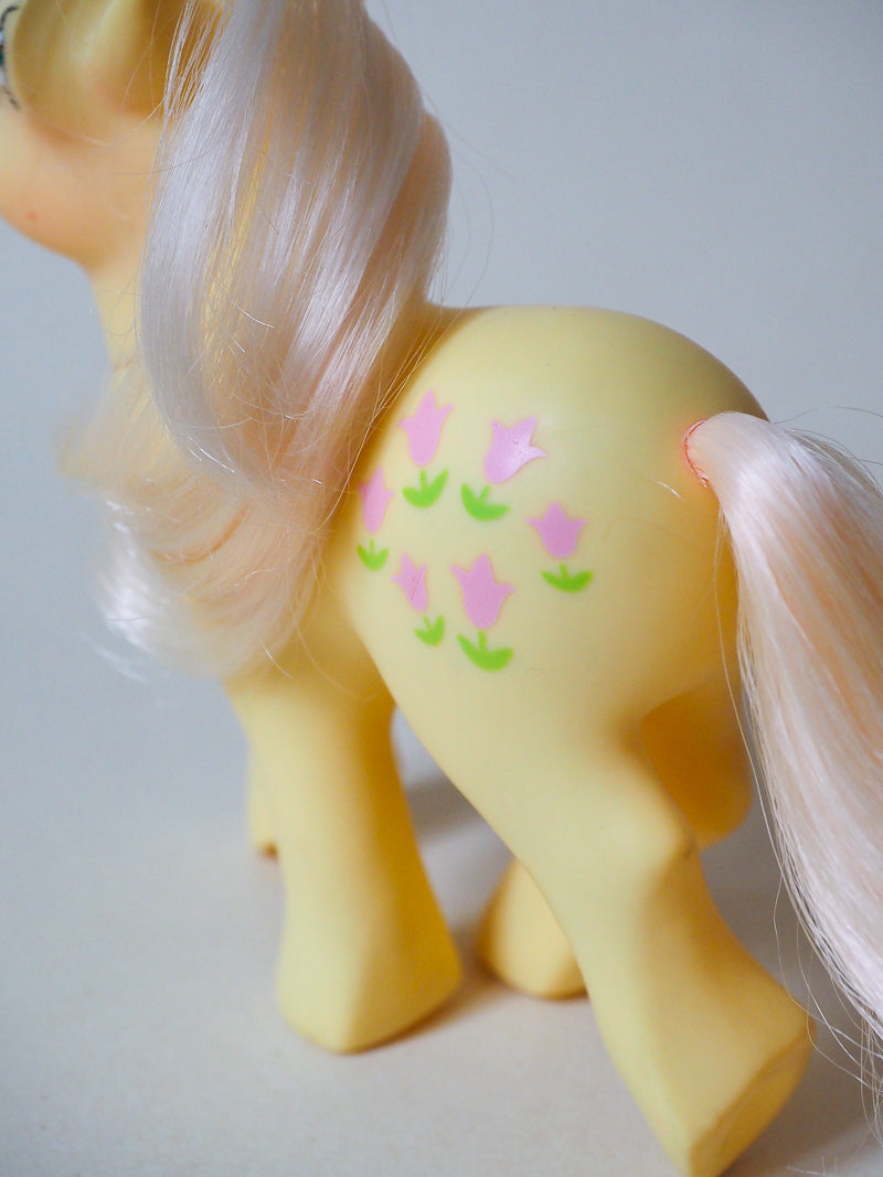 Mon Petit Poney G1 - Posey / Penelope - Earth Pony - 84