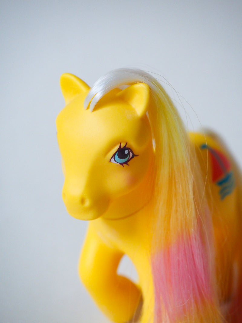 Mon Petit Poney G1 - Daddy Sunbright - Family Friends - rare - 85