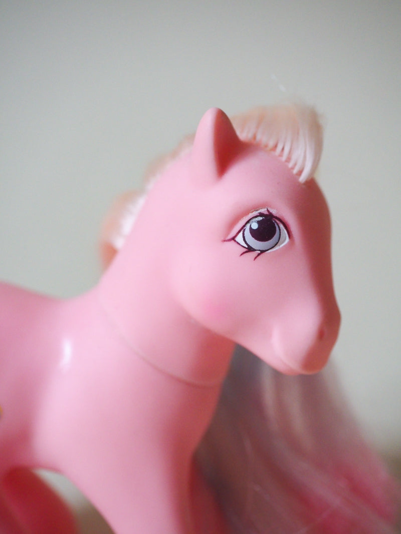 Mon Petit Poney G1 - Maman Fleur des champs / Meadowsweet - Family friends  - rare - 87