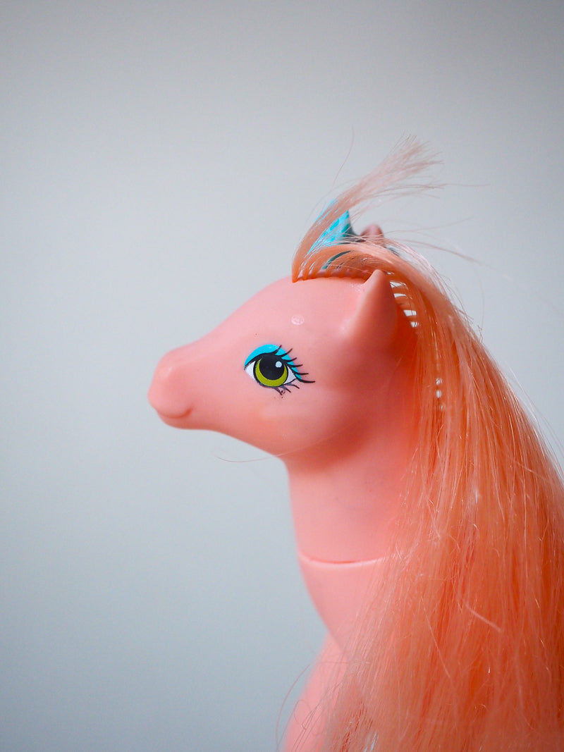 Mon Petit Poney G2 - Wild Flower - Sweetheart Sister Ponies - 88