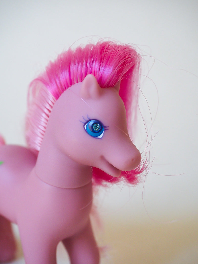 Lot de 2 - Mon Petit Poney G2 - Sunny Garden Friends - 97