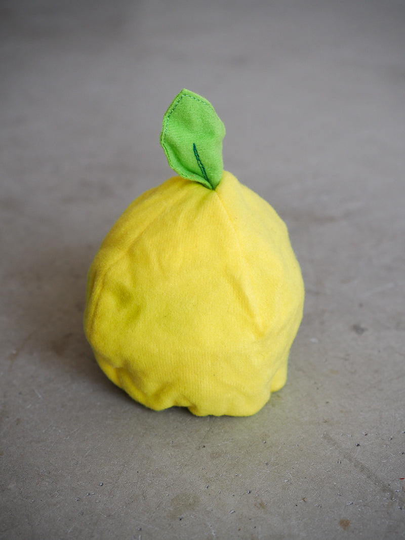 Popples fruit papillon / citron